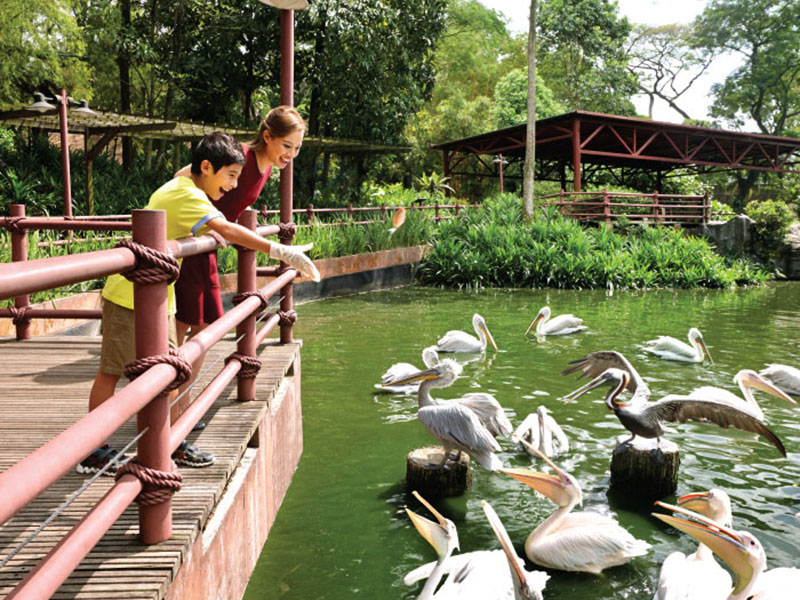 Jurong Bird Park Free & Easy with 2-way transfer