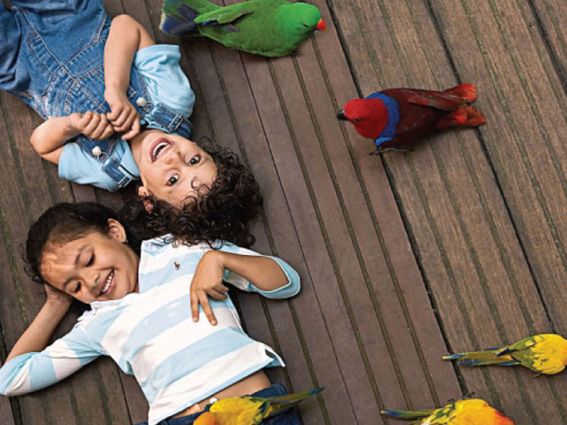 Jurong Bird Park Free & Easy with 2-way transfer