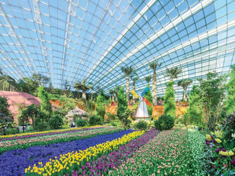 Gardens by the Bay Transfer Shuttle