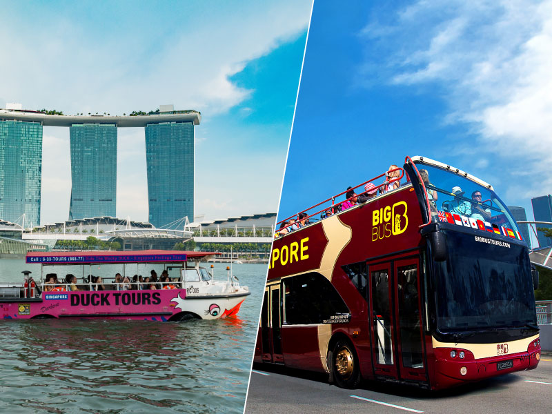 DUCKtours + Big Bus Tours (Discover)